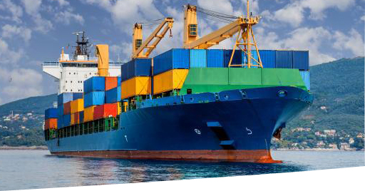 import export